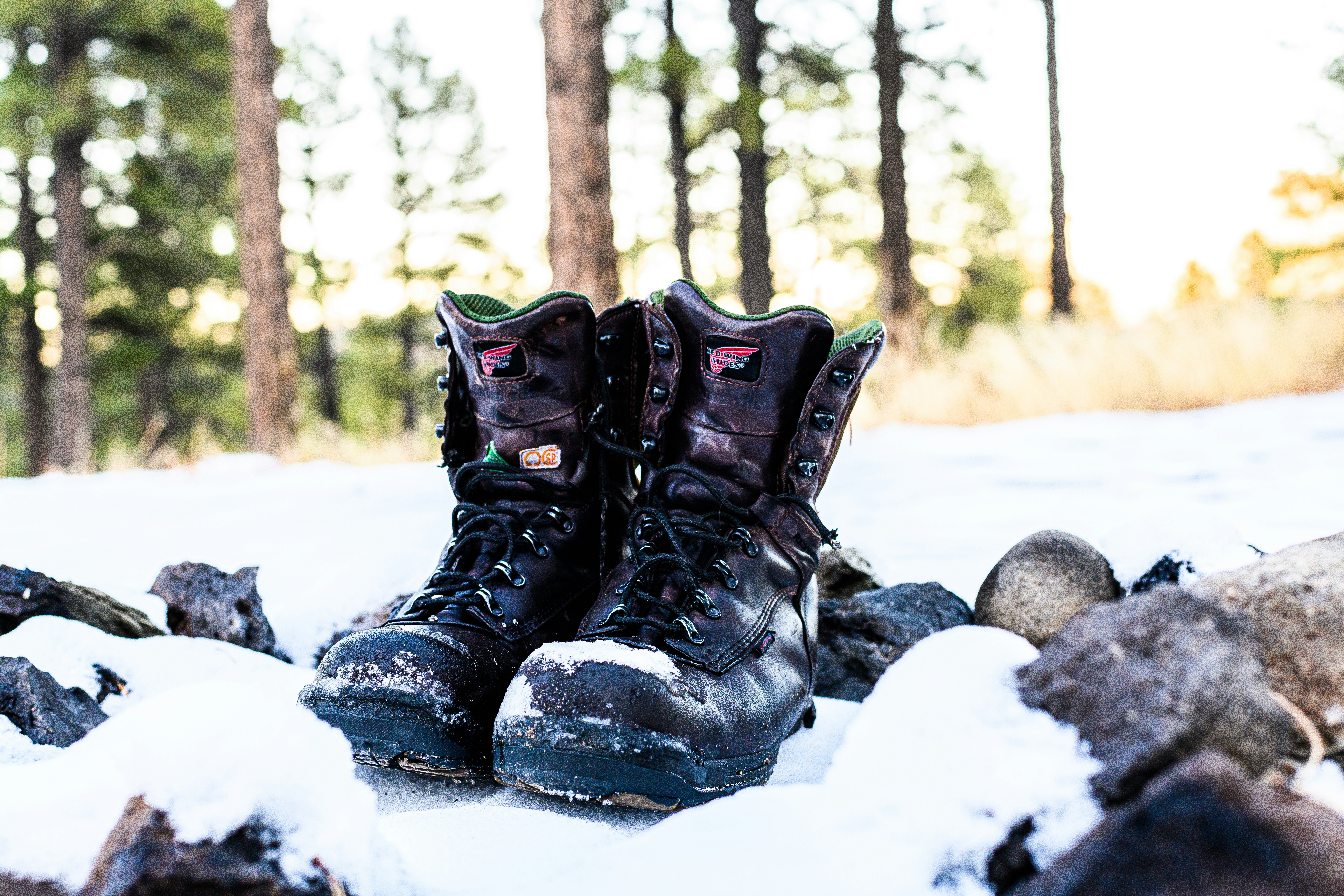 Snowy boots
