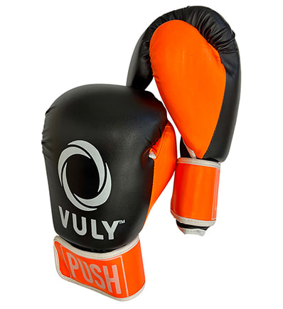 Boxing Gloves (Adult)