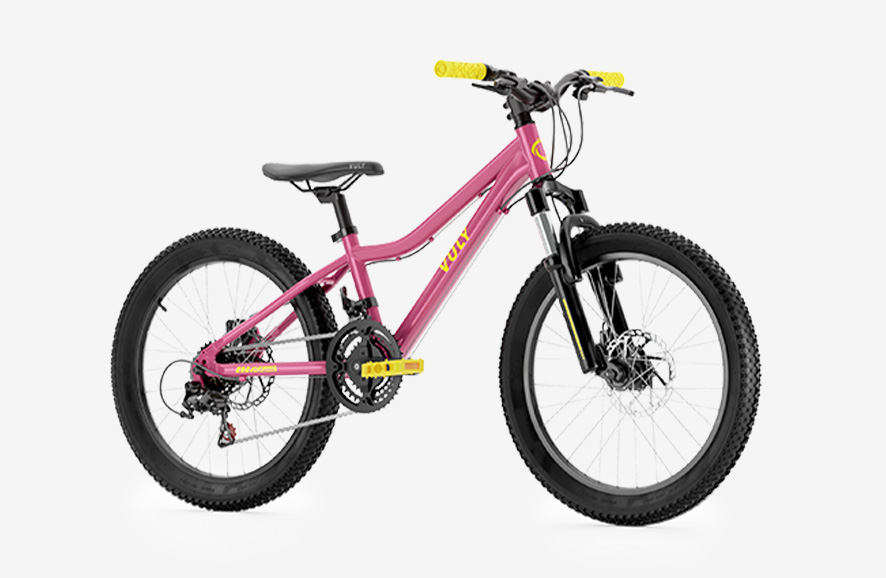 20 inch bike