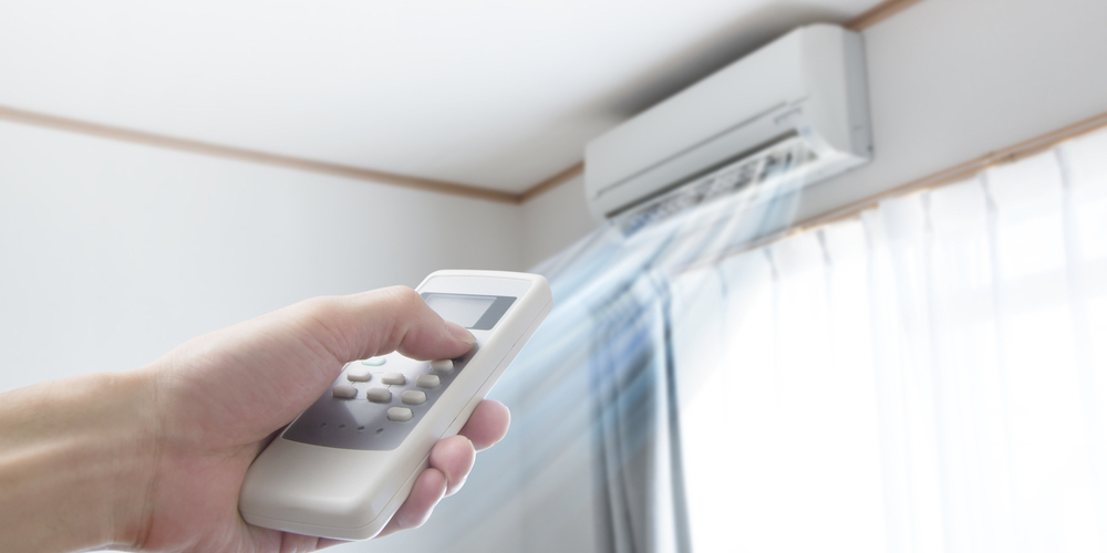 healthy-pets-summer-humidity