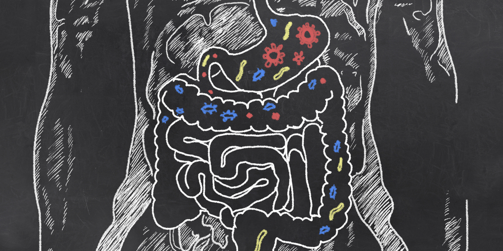 Vuly Trampolines looks at natural probiotics.