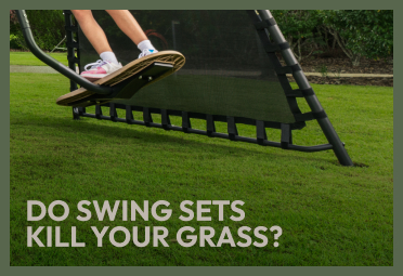 Under the Swing Set, Your Grass Is Not Okay