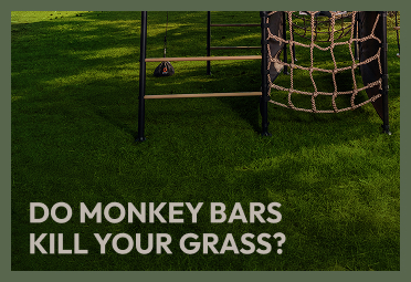 Monkey Bars, Happy Kids, Unhappy Grass
