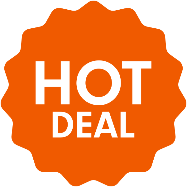 Hot Swing Set Deal!