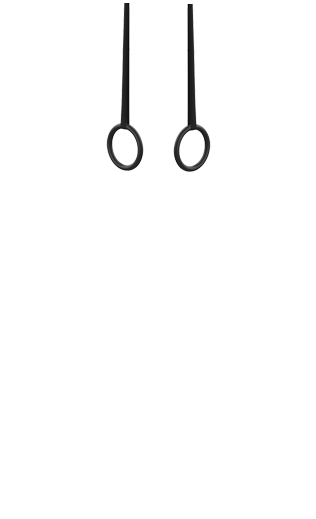 Swing set - Roman Rings (2)