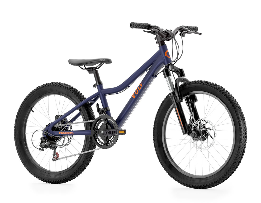 20 Inch Mountain Bike