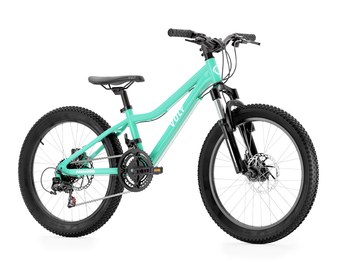 20 Inch Mountain Bike